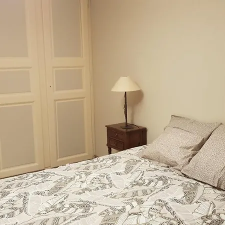 Etablissement Central Parc I Apartment *